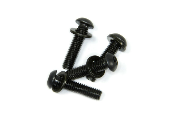 MEC2012-25 camber screws  M6x25 and Washer